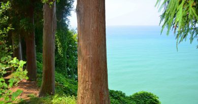 Batumi Botanical Garden