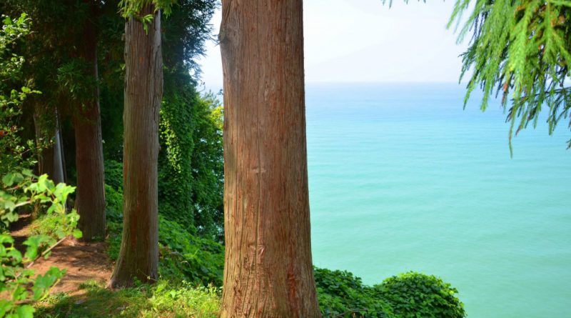 Batumi Botanical Garden