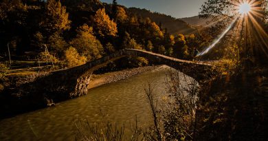 Stone Arched Bridges – Centennial History